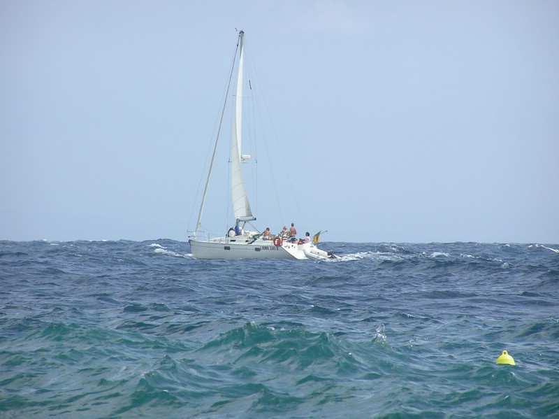 P1010058.JPG