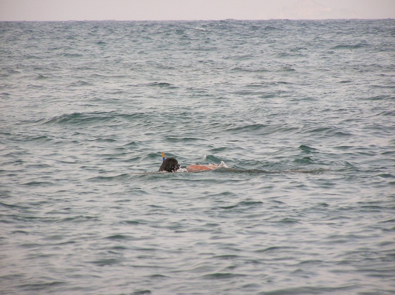 P1010090b.JPG