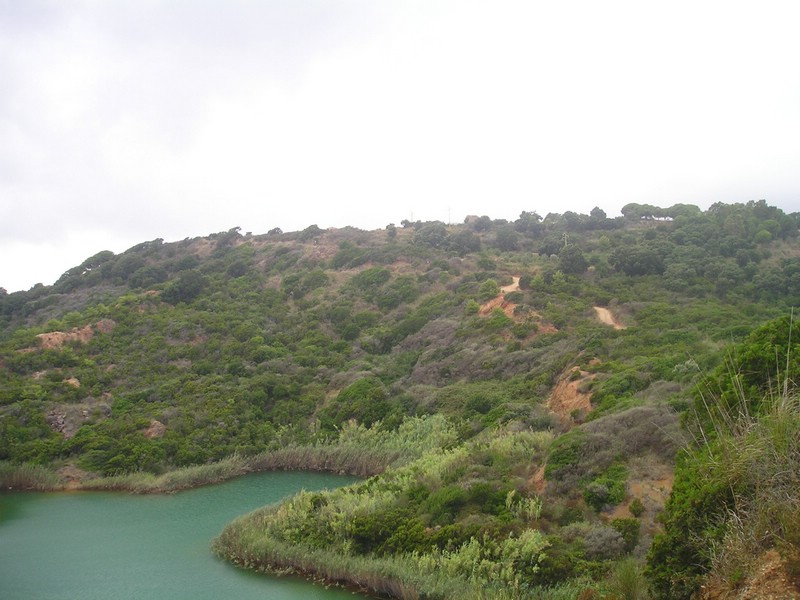 P1010094.JPG