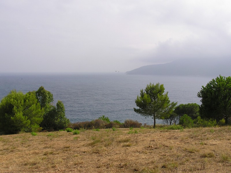 P1010113.JPG