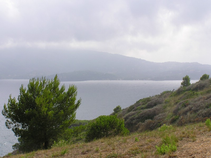 P1010115.JPG