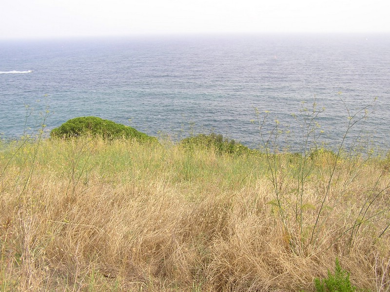 P1010130.JPG