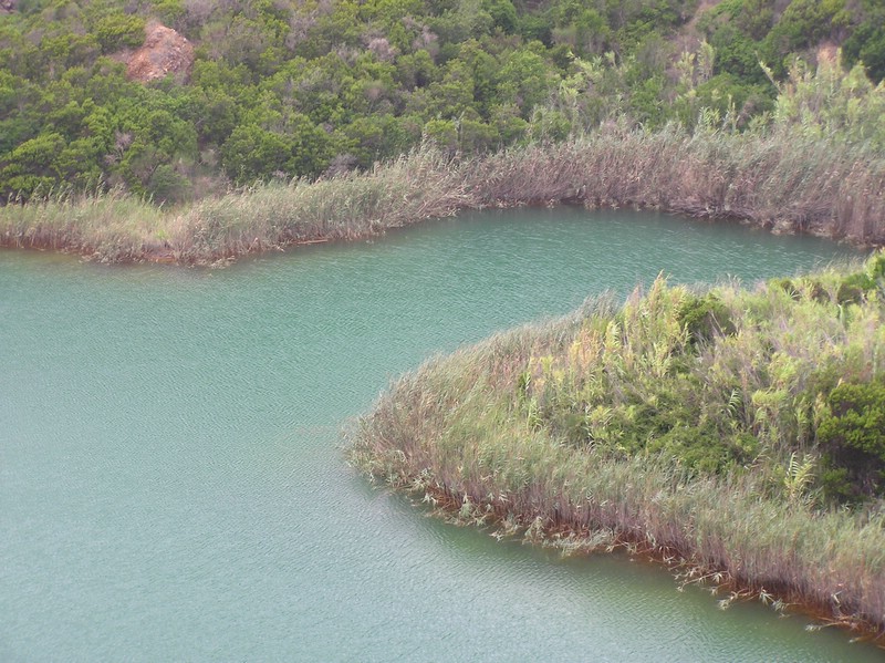 P1010144.JPG