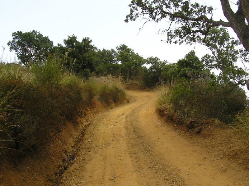 P1010146.JPG