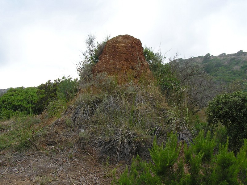 P1010151.JPG