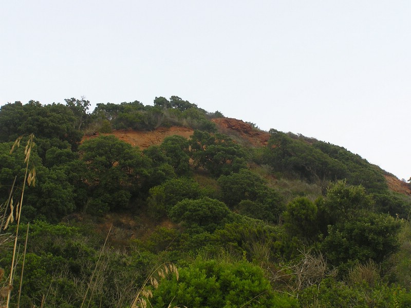 P1010183.JPG