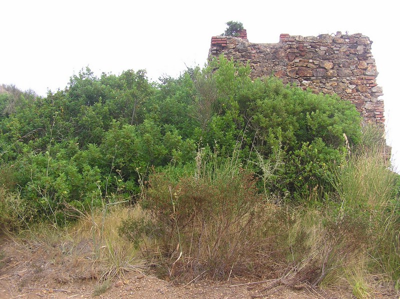 P1010184.JPG