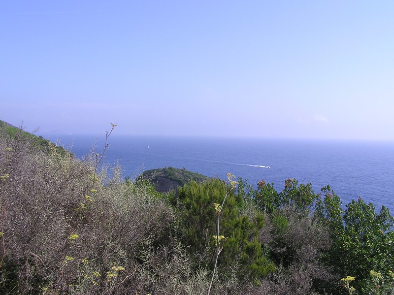 p1010199.jpg