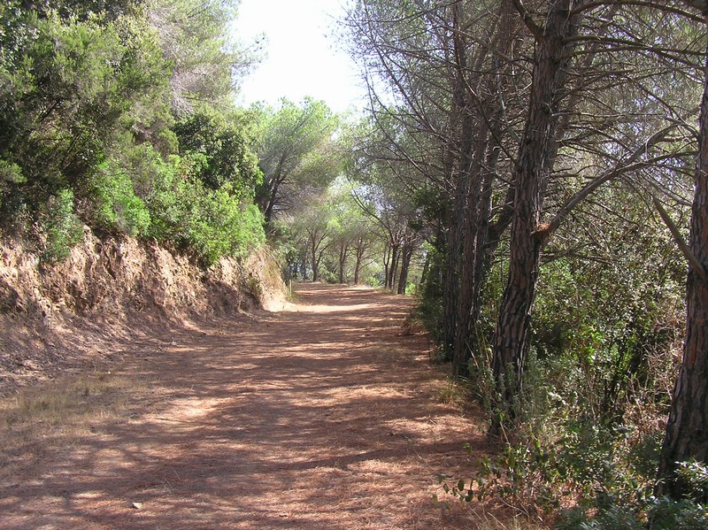 p1010202.jpg