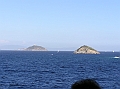 P1010027b