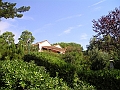 P1010035