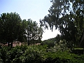 P1010037