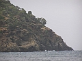 P1010088b