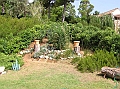 P1010100
