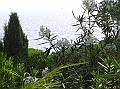 P1010102