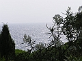P1010103
