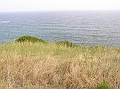 P1010130