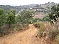 P1010136