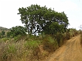 P1010137