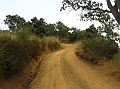 P1010146