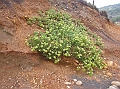 P1010177