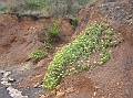 P1010178