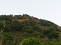 P1010183