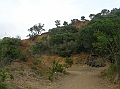 P1010185