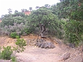 P1010186