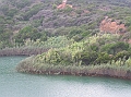 P1010189