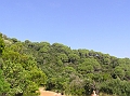 p1010200