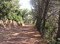 p1010202