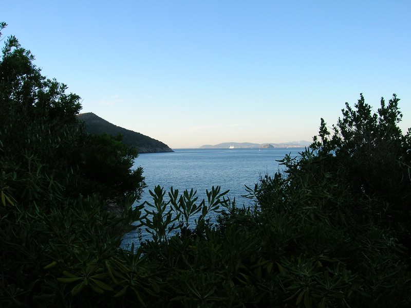 DSCN0468.JPG