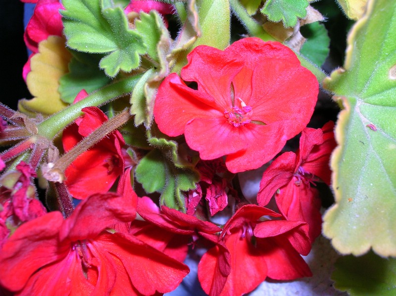 DSCN0472.JPG