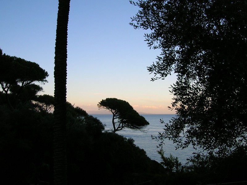 DSCN0497.JPG