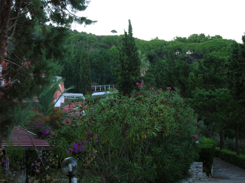 DSCN0502.JPG