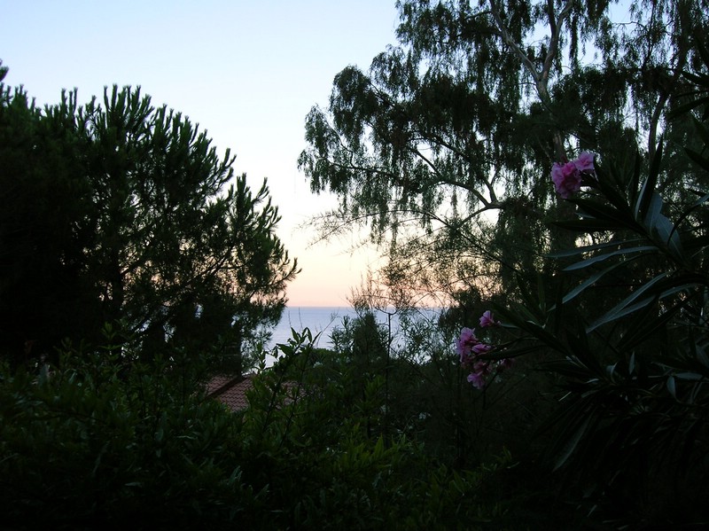 DSCN0511.JPG