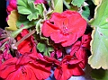 DSCN0472