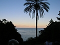 DSCN0495
