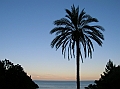 DSCN0496