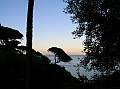 DSCN0497