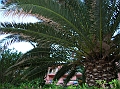 DSCN0499