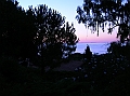 DSCN0519