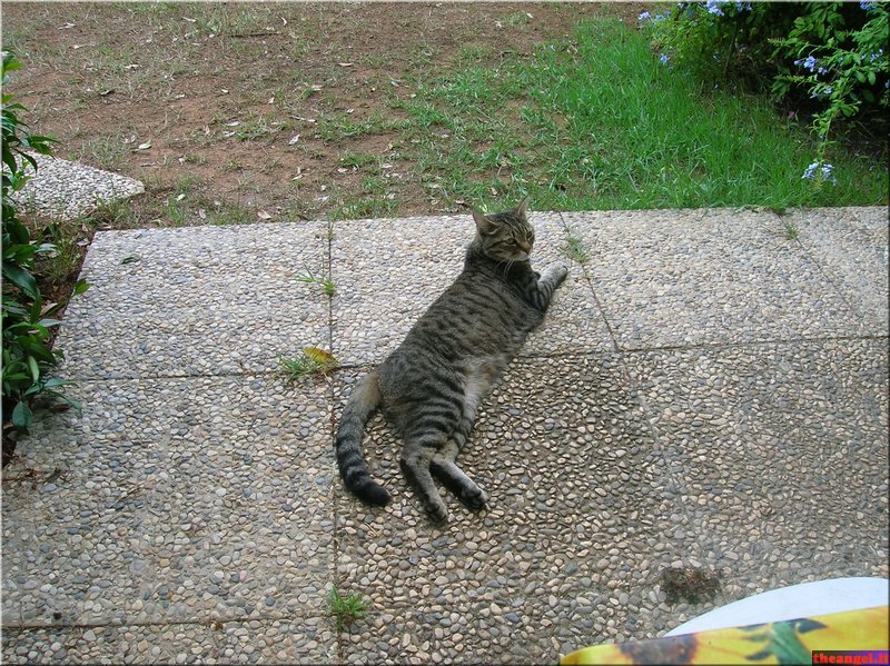 DSCN2298.JPG