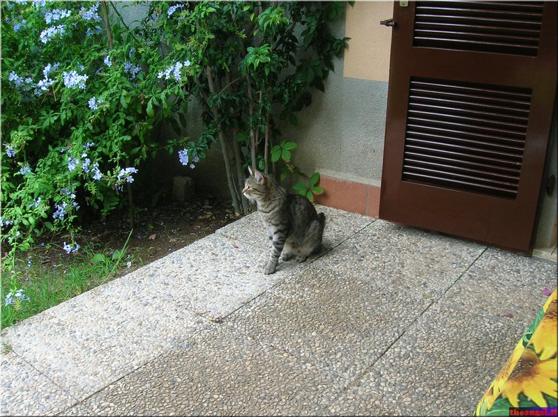 DSCN2299.JPG