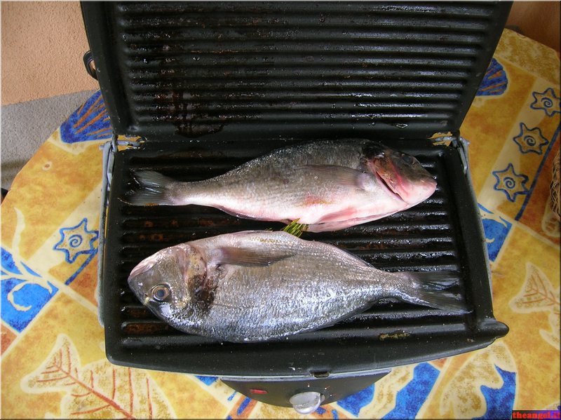 DSCN2335.JPG