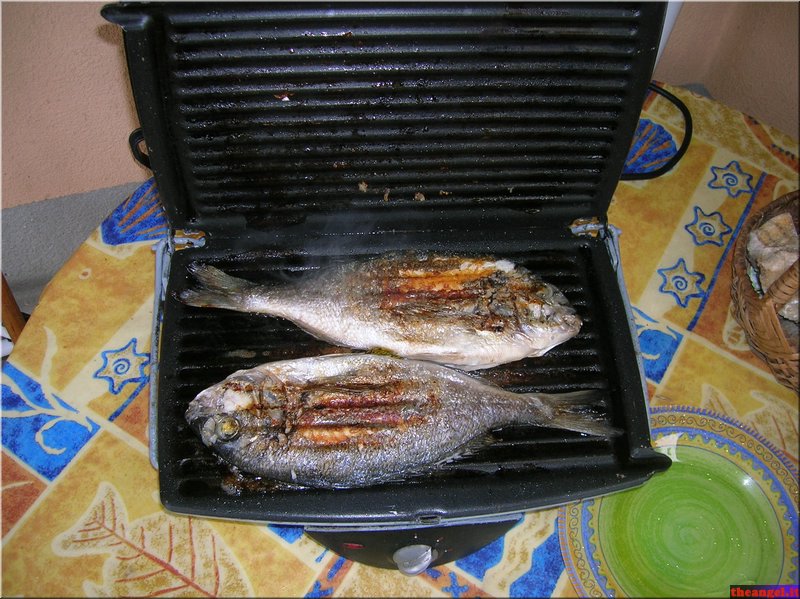 DSCN2341.JPG