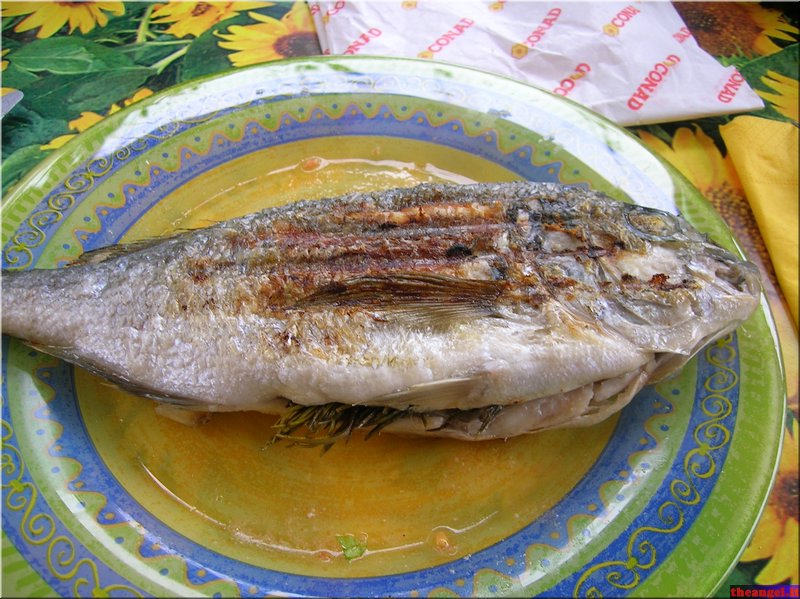 DSCN2342.JPG