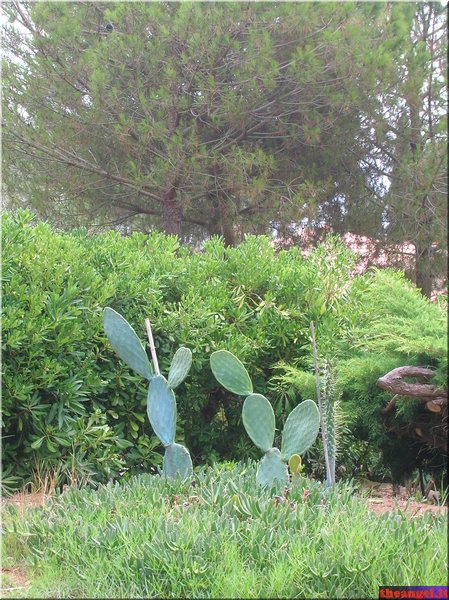 DSCN2353.JPG