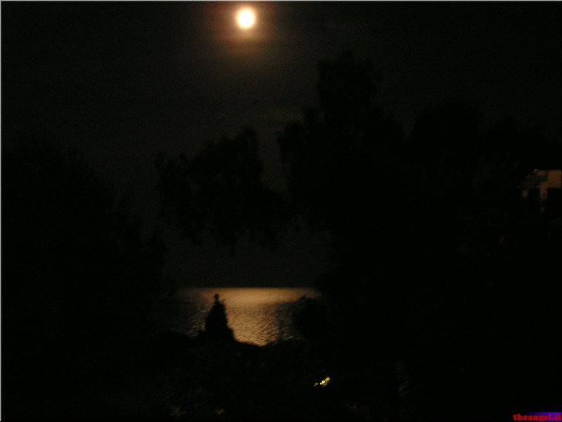 P1010001.JPG